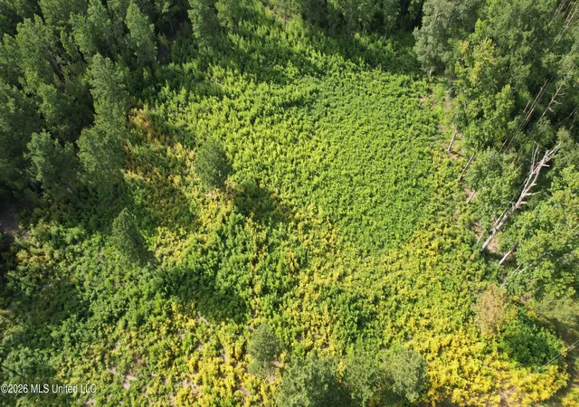Photo 1 of Land for sale at W Of Hwy 569, Liberty, MS 39645 | MLS# 4156583 | Listing updated on 2026-08-06