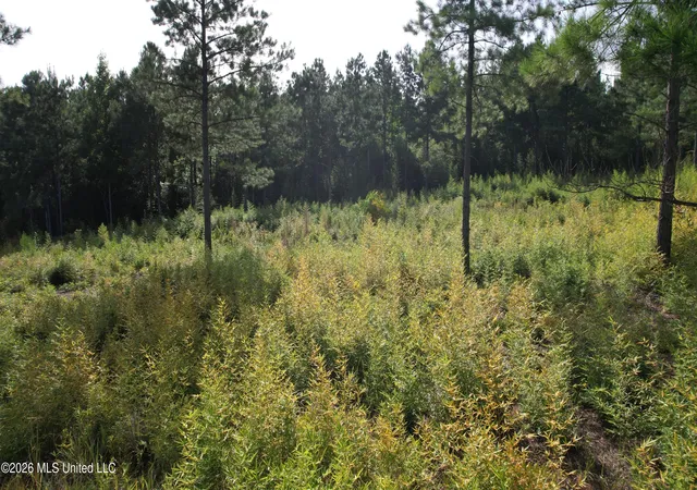 Photo 2 of Land for sale at W Of Hwy 569, Liberty, MS 39645 | MLS# 4156583 | Listing updated on 2026-08-06