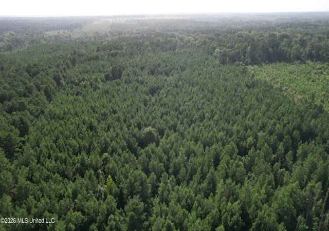 Photo 3 of Land for sale at W Of Hwy 569, Liberty, MS 39645 | MLS# 4156583 | Listing updated on 2026-08-06
