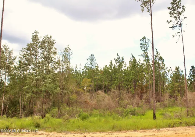 12th image of 883ac Little Cedar Rd, Lucedale, MS 39452 | MLS# 4156632