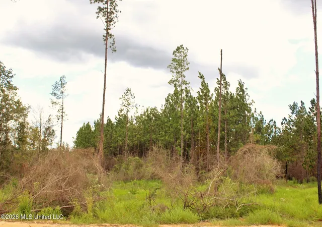 1st image of 883ac Little Cedar Rd, Lucedale, MS 39452 | MLS# 4156632