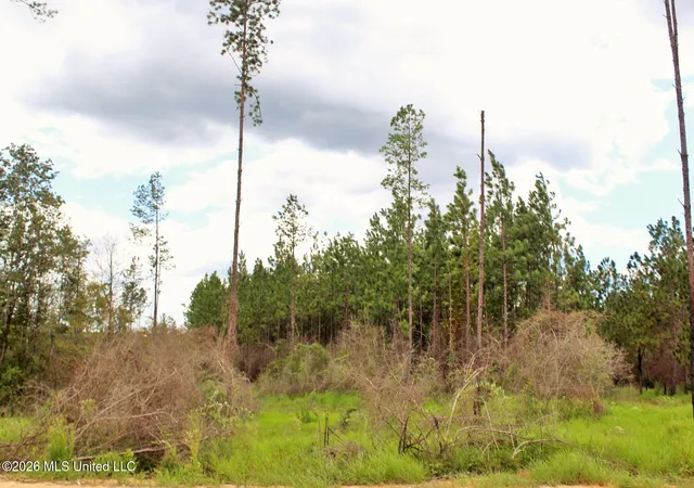Photo 3 of Land for sale at 883ac Little Cedar Rd, Lucedale, MS 39452 | MLS# 4156632 | Listing updated on 2026-07-21