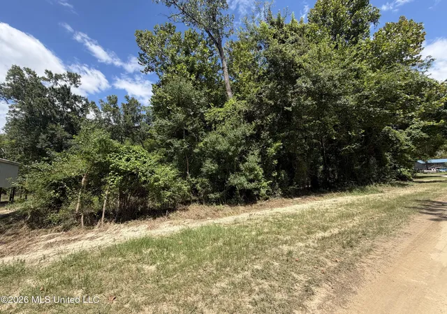 Photo 1 of Land for sale at Plum Blf Dr, Lucedale, MS 39452 | MLS# 4156714 | Listing updated on 2026-07-22