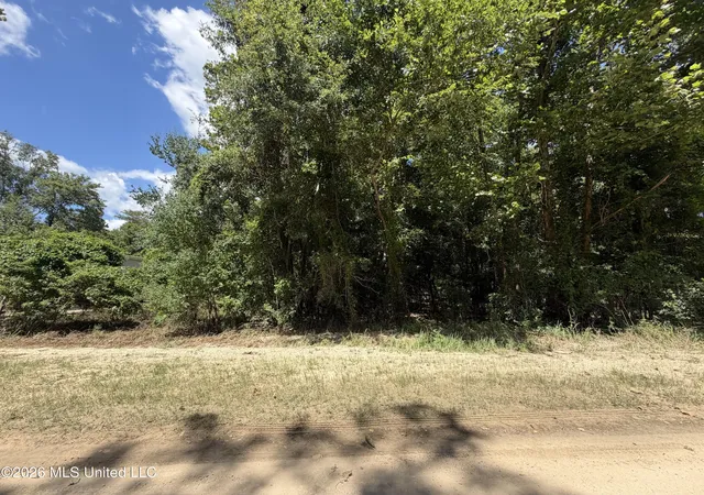 Photo 2 of Land for sale at Plum Blf Dr, Lucedale, MS 39452 | MLS# 4156714 | Listing updated on 2026-07-22