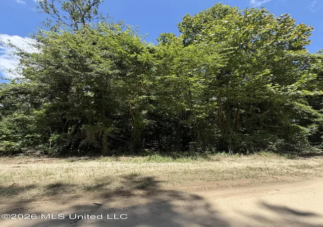 Photo 3 of Land for sale at Plum Blf Dr, Lucedale, MS 39452 | MLS# 4156714 | Listing updated on 2026-07-22