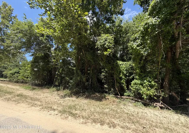 Photo 3 of Land for sale at Plum Blf Dr, Lucedale, MS 39452 | MLS# 4156714 | Listing updated on 2026-07-22