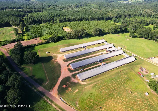 Photo 2 of Land for sale at 99 Coppers Frd Rd, Tylertown, MS 39667 | MLS# 4156746 | Listing updated on 2026-07-23