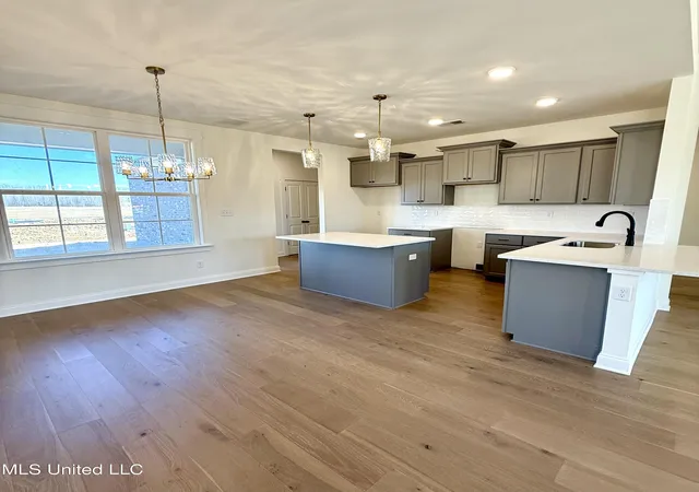 Photo 4 of Single family home for sale at 493 Sunflower St, Nesbit, MS 38651 | MLS# 4156602 | Listing updated on 2026-07-23