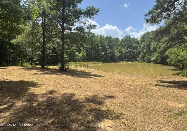 Photo 1 of Land for sale at 000 Sw Maude Ln, Bogue Chitto, MS 39629 | MLS# 4156611 | Listing updated on 2026-07-22