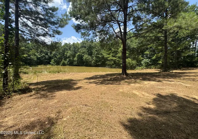 Photo 2 of Land for sale at 000 Sw Maude Ln, Bogue Chitto, MS 39629 | MLS# 4156611 | Listing updated on 2026-07-22