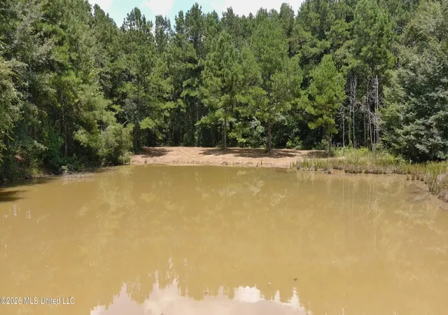 Photo 2 of Land for sale at 000 SW Maude Ln, Bogue Chitto, MS 39629 | MLS# 4156611 | Listing updated on 2026-07-22