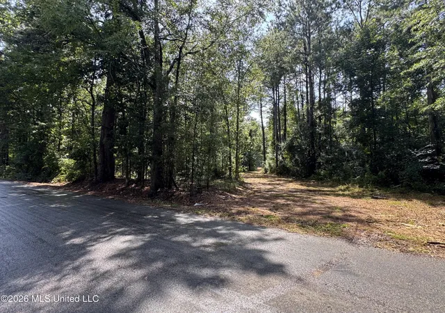 Photo 3 of Land for sale at 000 SW Maude Ln, Bogue Chitto, MS 39629 | MLS# 4156611 | Listing updated on 2026-07-22