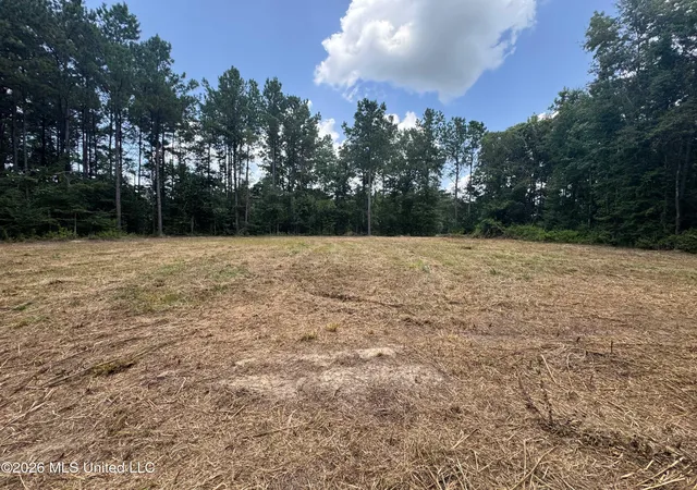 Photo 4 of Land for sale at 000 SW Maude Ln, Bogue Chitto, MS 39629 | MLS# 4156611 | Listing updated on 2026-07-22
