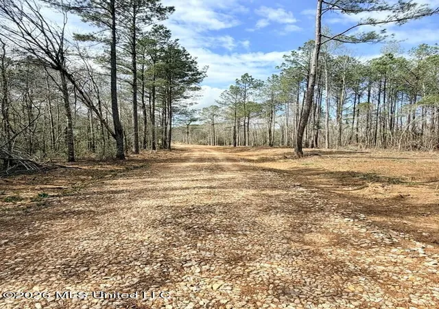 Photo 3 of Land for sale at Antler Ridge Dr, Poplarville, MS 39470 | MLS# 4156647 | Listing updated on 2026-07-21