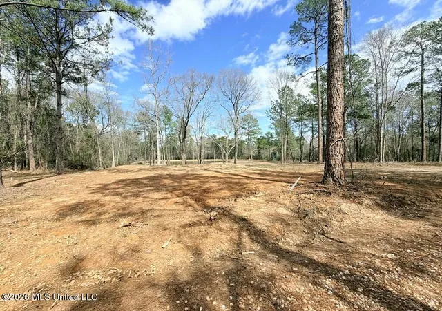 Photo 4 of Land for sale at Antler Ridge Dr, Poplarville, MS 39470 | MLS# 4156647 | Listing updated on 2026-07-21