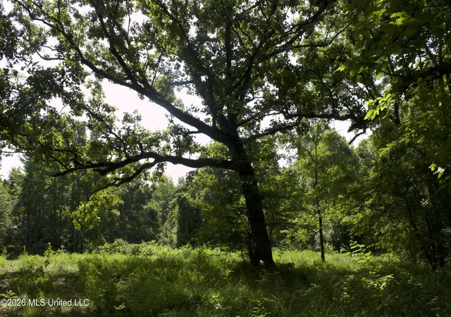 Photo 1 of Land for sale at 0 Ms 35, Charleston, MS 38921 | MLS# 4156772 | Listing updated on 2026-07-22