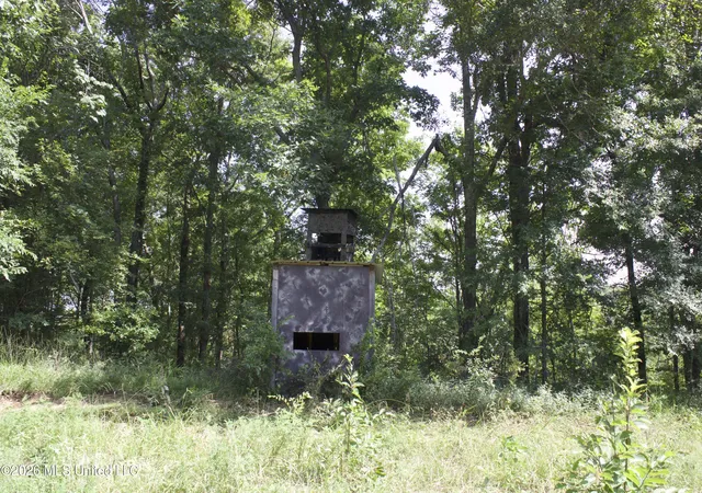 Photo 2 of Land for sale at 0 Ms 35, Charleston, MS 38921 | MLS# 4156772 | Listing updated on 2026-07-22