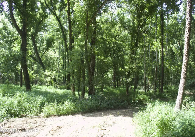 Photo 3 of Land for sale at 0 Ms 35, Charleston, MS 38921 | MLS# 4156772 | Listing updated on 2026-07-22