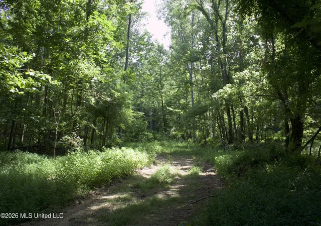 Photo 4 of Land for sale at 0 Ms 35, Charleston, MS 38921 | MLS# 4156772 | Listing updated on 2026-07-22