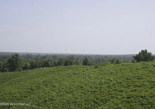 Photo 77 of Land for sale at 0 Ms 35, Charleston, MS 38921 | MLS# 4156772 | Listing updated on 2026-07-22