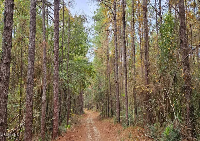 Photo 1 of Land for sale at Nhn Firefox, Poplarville, MS 39470 | MLS# 4156712 | Listing updated on 2026-07-22