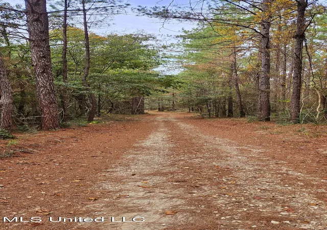 Photo 2 of Land for sale at Nhn Firefox, Poplarville, MS 39470 | MLS# 4156712 | Listing updated on 2026-07-22