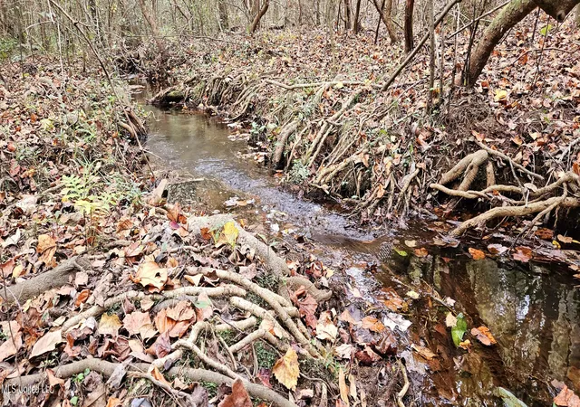 Photo 4 of Land for sale at Nhn Firefox, Poplarville, MS 39470 | MLS# 4156712 | Listing updated on 2026-07-22