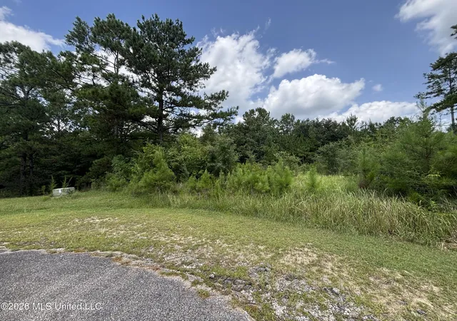 Photo 2 of Land for sale at Lots 92 & 93 Evergreen Dr, Vancleave, MS 39565 | MLS# 4156975 | Listing updated on 2026-09-16