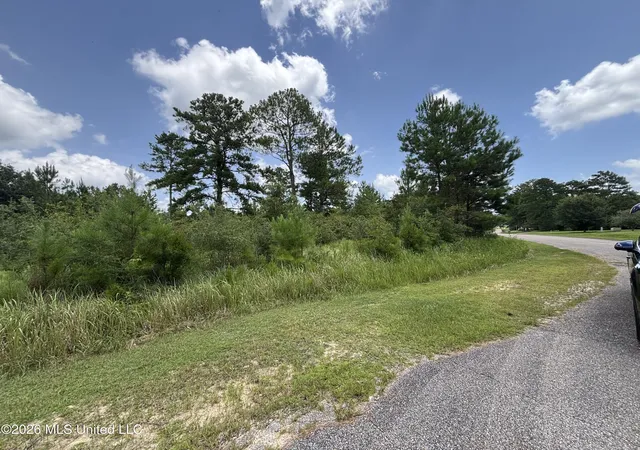 Photo 3 of Land for sale at Lots 92 & 93 Evergreen Dr, Vancleave, MS 39565 | MLS# 4156975 | Listing updated on 2026-09-16