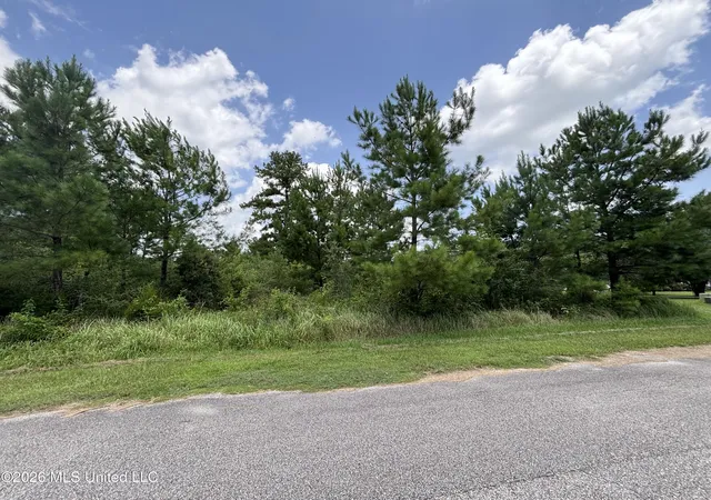 Photo 4 of Land for sale at Lots 92 & 93 Evergreen Dr, Vancleave, MS 39565 | MLS# 4156975 | Listing updated on 2026-09-16