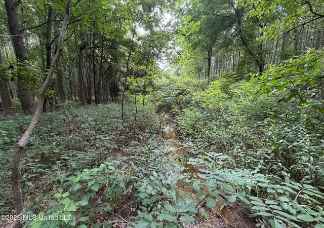 Photo 45 of Land for sale at Highway 7, Water Valley, MS 38965 | MLS# 4156777 | Listing updated on 2026-08-05