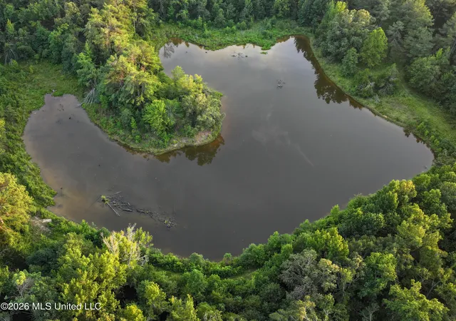 Photo 3 of Land for sale at Highway 7, Water Valley, MS 38965 | MLS# 4156777 | Listing updated on 2026-08-05