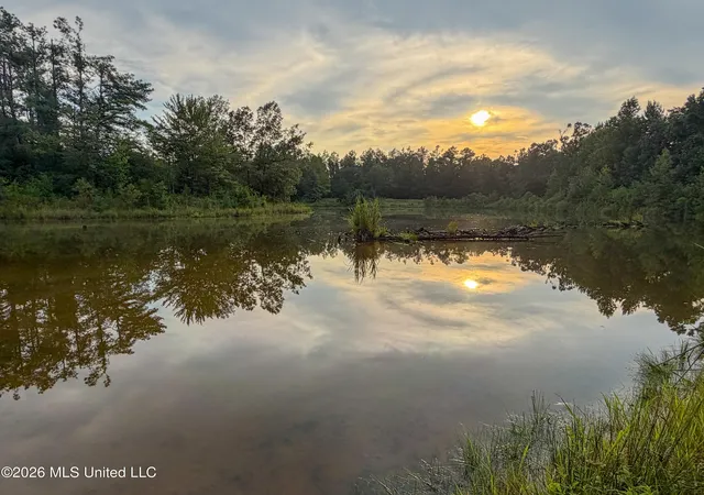 Photo 4 of Land for sale at Highway 7, Water Valley, MS 38965 | MLS# 4156777 | Listing updated on 2026-08-05