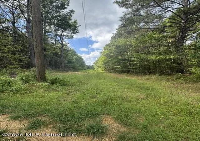 Photo 12 of Land for sale at Parcel 2&3 Harper College Rd, Gloster, MS 39638 | MLS# 4156782 | Listing updated on 2026-08-08