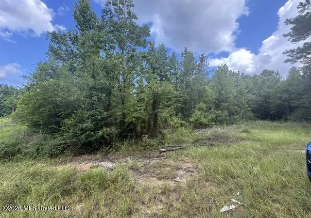 Photo 2 of Land for sale at Parcel 2&3 Harper College Rd, Gloster, MS 39638 | MLS# 4156782 | Listing updated on 2026-08-08