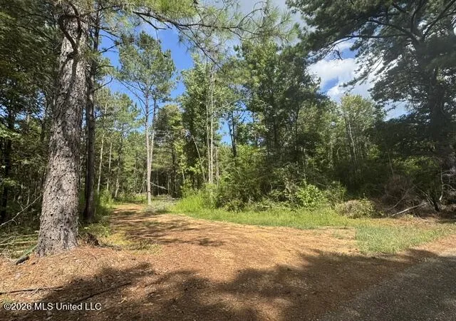 Photo 3 of Land for sale at Parcel 2&3 Harper College Rd, Gloster, MS 39638 | MLS# 4156782 | Listing updated on 2026-08-08