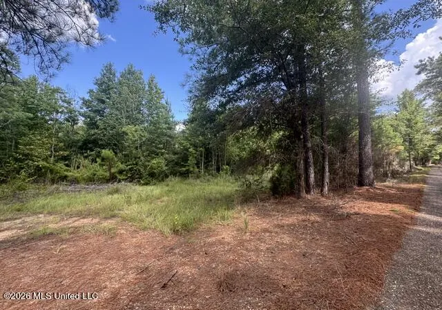 Photo 4 of Land for sale at Parcel 2&3 Harper College Rd, Gloster, MS 39638 | MLS# 4156782 | Listing updated on 2026-08-08