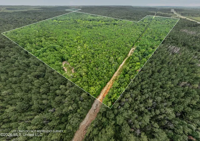 1st image of 0 E Of Hwy 45, Waynesboro, MS 39367 | MLS# 4156780