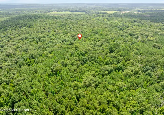 32nd image of 0 E Of Hwy 45, Waynesboro, MS 39367 | MLS# 4156780