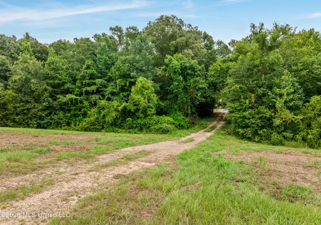 Photo 3 of Land for sale at 0 E Of Hwy 45, Waynesboro, MS 39367 | MLS# 4156780 | Listing updated on 2026-08-25