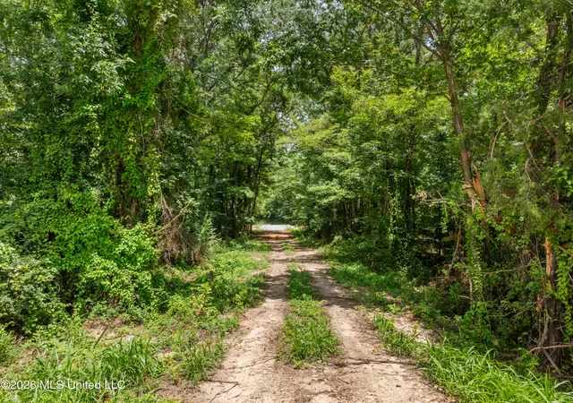 Photo 4 of Land for sale at 0 E Of Hwy 45, Waynesboro, MS 39367 | MLS# 4156780 | Listing updated on 2026-08-25