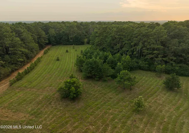 Photo 2 of Land for sale at 235 Woodrow Martin Rd, Brandon, MS 39042 | MLS# 4156888 | Listing updated on 2026-07-23