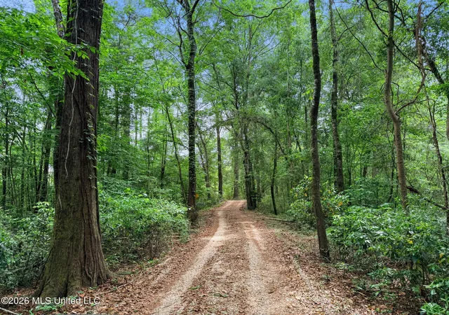 3rd image of 1230 Morriston Rd, Petal, MS 39465 | MLS# 4156972