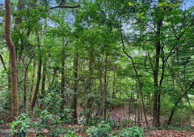 40th image of 1230 Morriston Rd, Petal, MS 39465 | MLS# 4156972