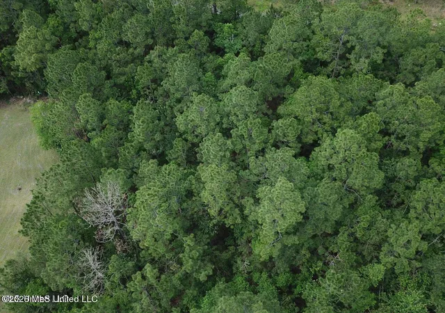 Photo 1 of Land for sale at 8th Street, Bay Saint Louis, MS 39520 | MLS# 4156881 | Listing updated on 2026-07-23
