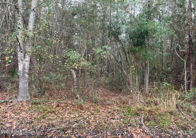 Photo 3 of Land for sale at 8th Street, Bay Saint Louis, MS 39520 | MLS# 4156881 | Listing updated on 2026-07-23