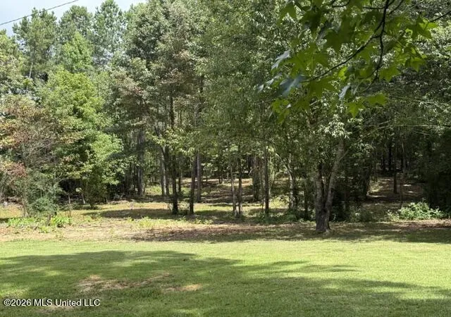 Photo 4 of Single family home for sale at 834 Ms 12, Kosciusko, MS 39090 | MLS# 4156943 | Listing updated on 2026-08-31