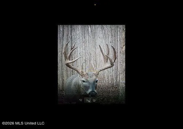 Photo 3 of Land for sale at Cayce Rd, Byhalia, MS 38611 | MLS# 4157046 | Listing updated on 2026-08-08