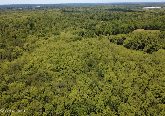 Photo 1 of Land for sale at No St #NO, Louisville, MS 39339 | MLS# 4156939 | Listing updated on 2026-07-24