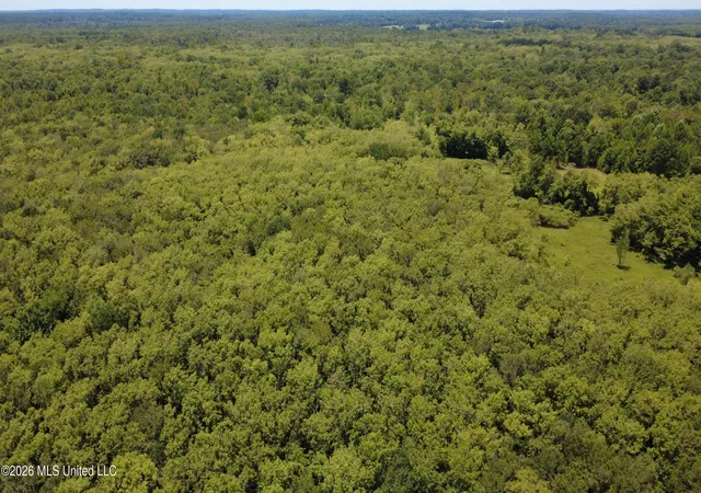 Photo 2 of Land for sale at No St #NO, Louisville, MS 39339 | MLS# 4156939 | Listing updated on 2026-07-24